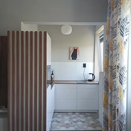 Apartment Starowka