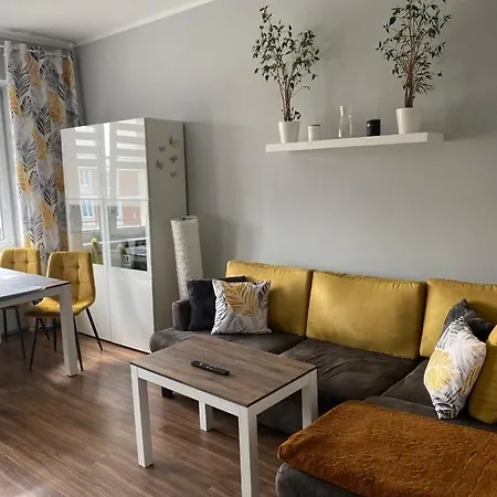 Apartment Starowka